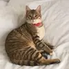 danieltanguy83 - @danieltanguy83 - TikTok