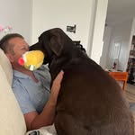 Daniel Tank - @danielgtank - Instagram