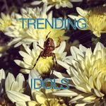 Daniel Tank - @trendingidols - Instagram
