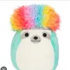 Daniel Taplin - @danieltaplin1012 - TikTok