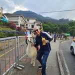 Daniel Tarango - @tangorango_arts - Instagram