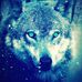 Daniel Terwilliger - Facebook