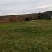 Daniel Tesoro - Facebook
