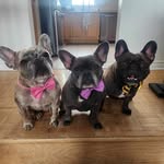 Daniel Tetreault - @firemandan58 - Instagram