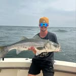 daniel tetreault - @danielatetreault - Instagram