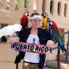 Daniel Thayer - @danielthayer - TikTok