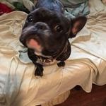Daniel Thayer - @xdaniel.tx - Instagram