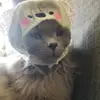 dannybobanny - @daniel_therrien - TikTok