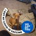 Daniel Thiemann - Facebook