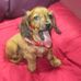 Daniel Thouin - Facebook