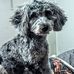 Daniel Thurlow - Facebook
