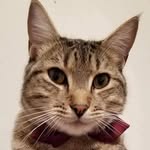 Daniel Tidwell - @tidwell8378 - Instagram