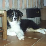 Daniele Tiezzi - @daniele.tiezzi.77 - Instagram