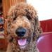 Daniel Timmer - Facebook