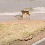 Daniel Timmer - @timmer.daniel - Instagram