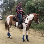 Daniel Tineo - @daniel.tineo.775 - Instagram