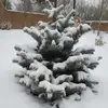 danielitobal - @danielitobal - TikTok