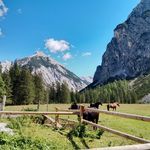 Daniel Tobias - @_daniel.tobias_ - Instagram