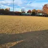 Daniel Tomas - @daniel.tomas5 - TikTok