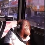 Daniel Tomas - @d4n.32 - Instagram