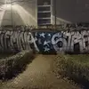 danieltomczyk1 - @danieltomczyk1 - TikTok