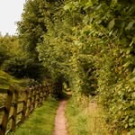 Daniel Topping - @dtoppingphoto - Instagram