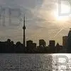 danielbeetoronto - @danielbee41 - TikTok