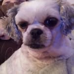 Daniel Tower - @tower430 - Instagram