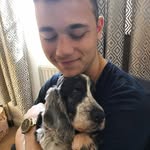 Daniel Townsend - @danielharris.1090 - Instagram