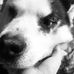 Daniel Townsend - Facebook
