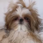 @daniel__tozzi - Instagram