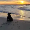 Daniel Träger - @danieltraeger_88 - TikTok