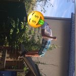 Daniel trampoline - @daniel_trampi - Instagram