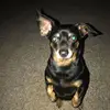 Daniel Trammell - @danieltrammell4 - TikTok
