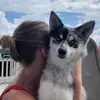 Danielle - @daniellestraub_ - TikTok