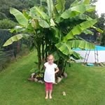 Daniel Traut - @trautdaniel - Instagram