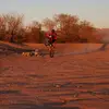 danieltraut41 - @i.luv.dirt.bikes21 - TikTok