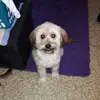Daniel Trautmann - @daniel.trautmann0 - TikTok