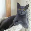 Daniela T - @daniela.trautmann - TikTok