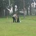Daniel Traylor - Facebook