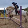 Daniel Traynor - @daniel_equestrian1 - TikTok