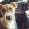 daniel treder - @danieltreder15 - TikTok