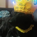 Daniel Trelles - @danieltrelles.2712 - Instagram