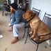 Daniel Trenerry - Facebook
