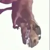 Daniel_tressler - @daniel_treasler - TikTok