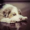Daniel Sytrew - @daniel.sytrew - TikTok