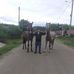 Trif Daniel - Facebook
