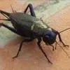 Daniel Trigo - @daniel.trigo7 - TikTok