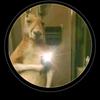Daniel trillo - @daniel.trillo8 - TikTok