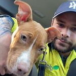 Daniel Trimboli - @danieltrimboli - Instagram